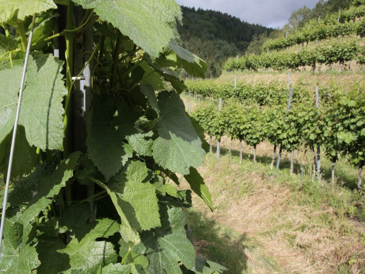 Ferienwohnungen Giedensbach Oberkirch  Exterior foto