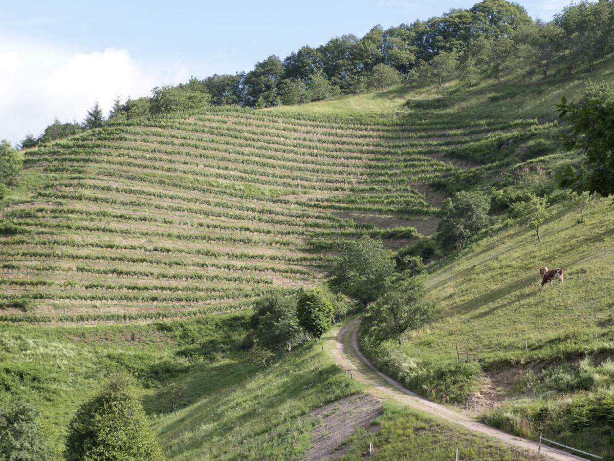 Ferienwohnungen Giedensbach Oberkirch  Exterior foto